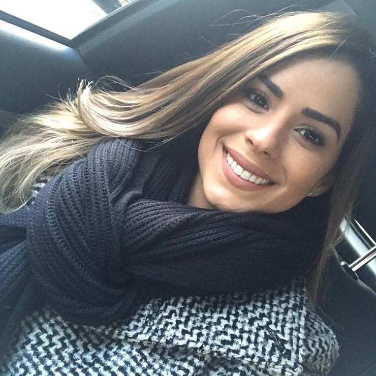 Vanessa De Roide image