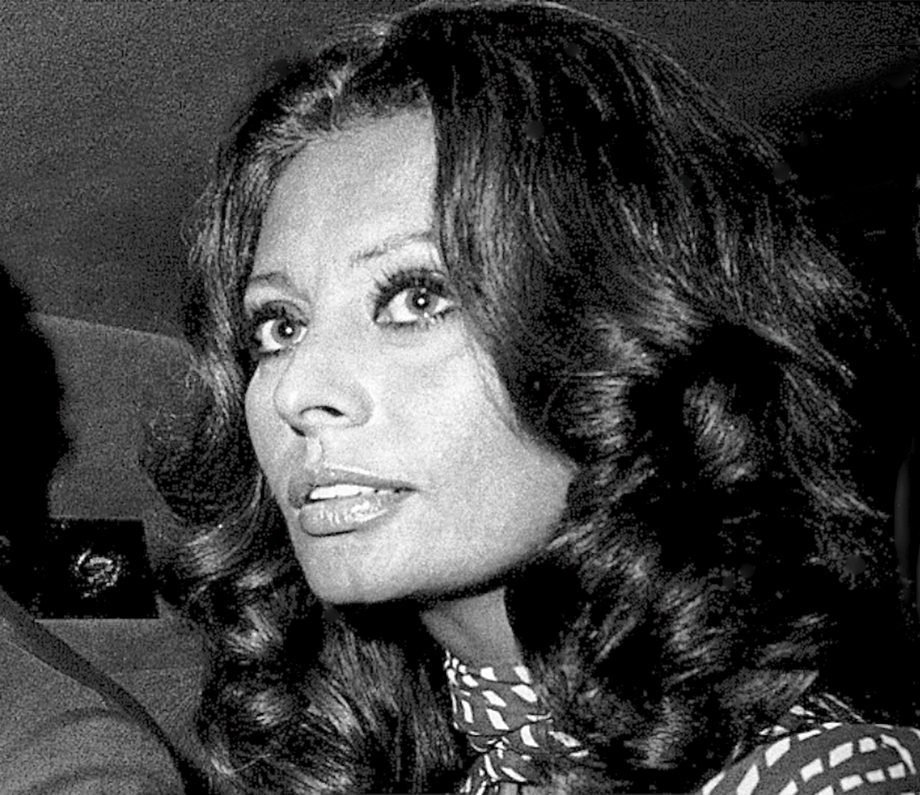 Sophia Loren Sophia Loren