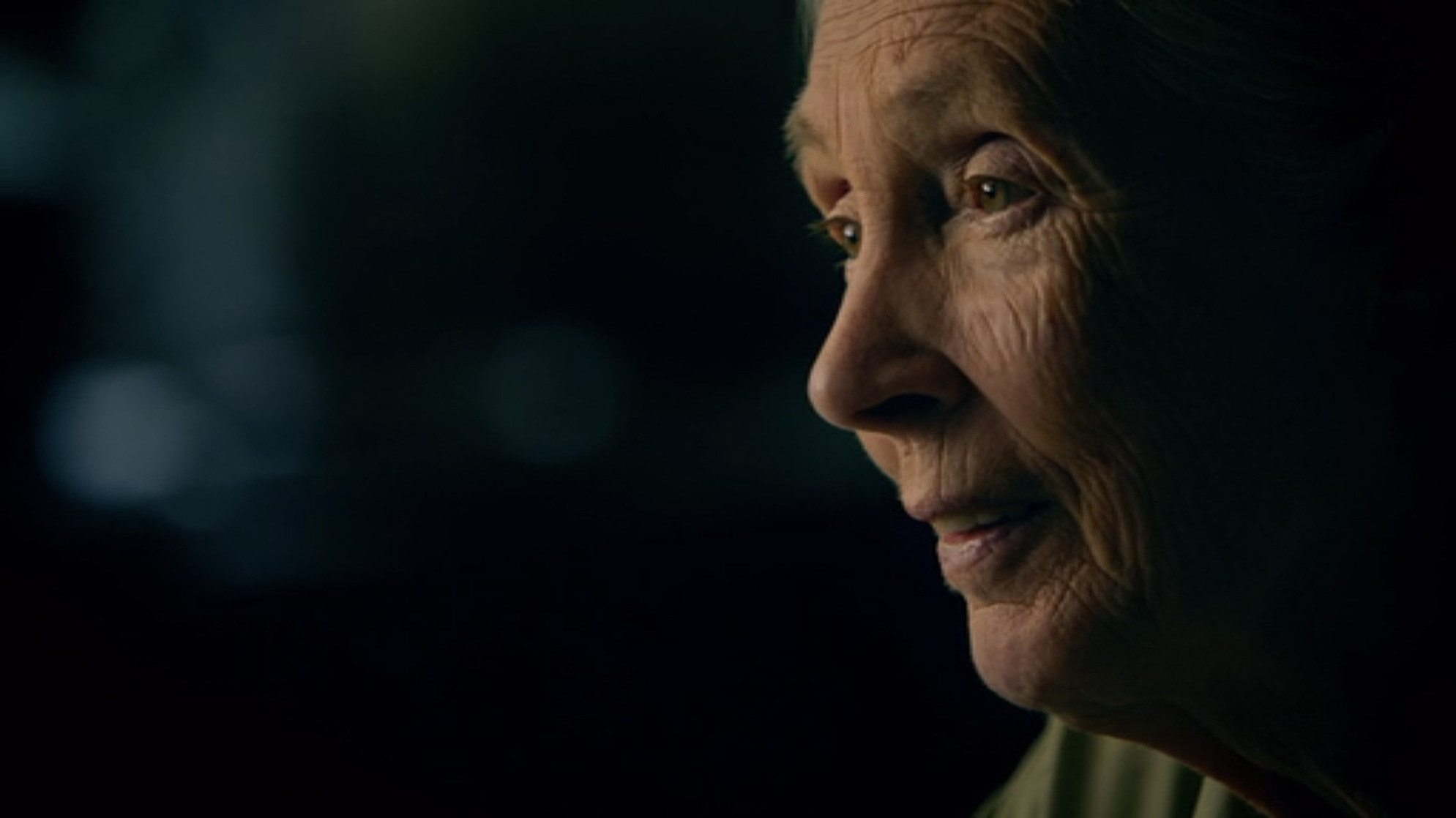 Jane (2017)