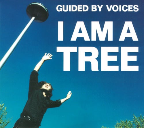 i am a tree essay in english