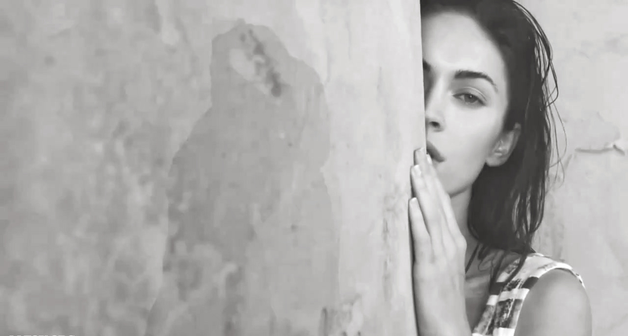 Megan Fox Megan Fox