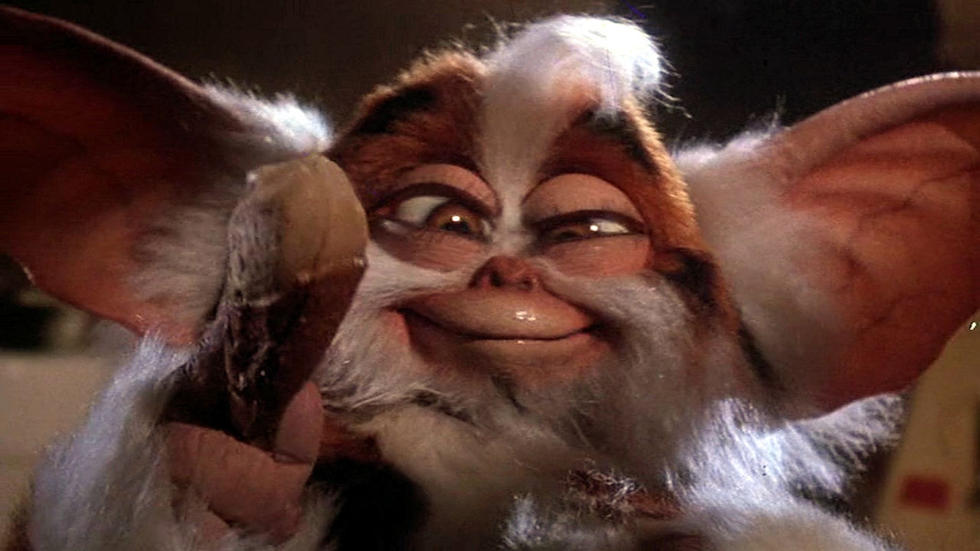 Gremlins 2: The New Batch Gremlins 2: The New Batch