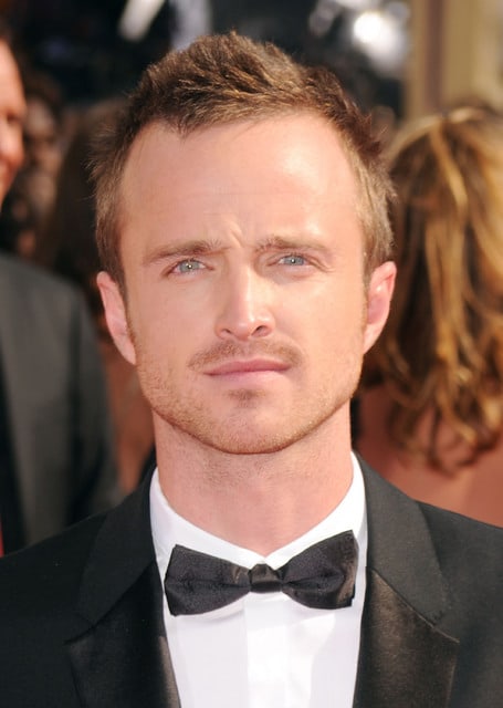 Picture of Aaron Paul