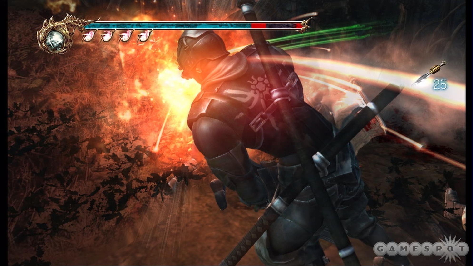 Ninja Gaiden II