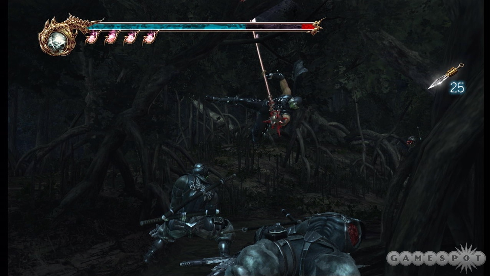 Ninja Gaiden II