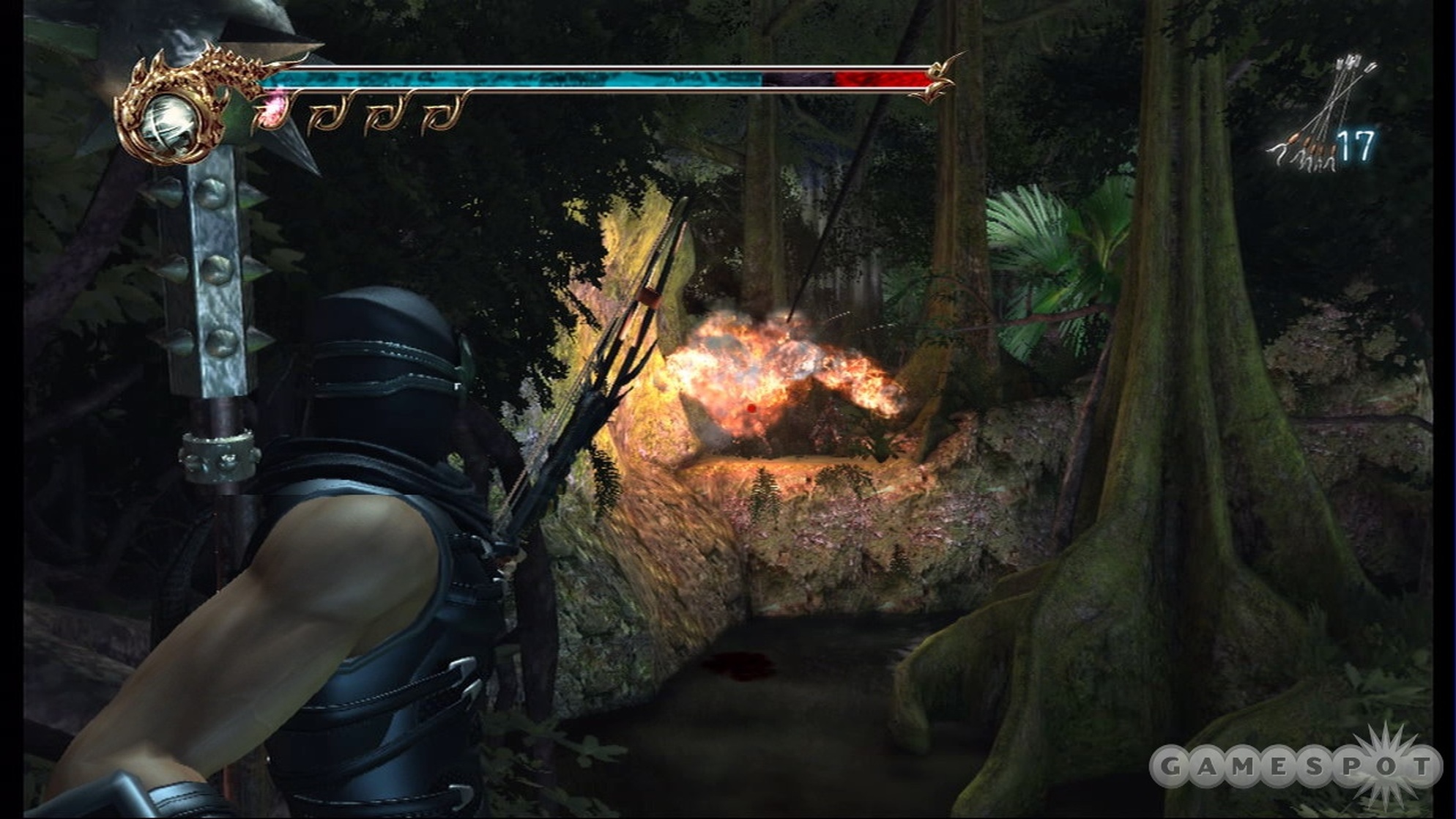 Ninja Gaiden II