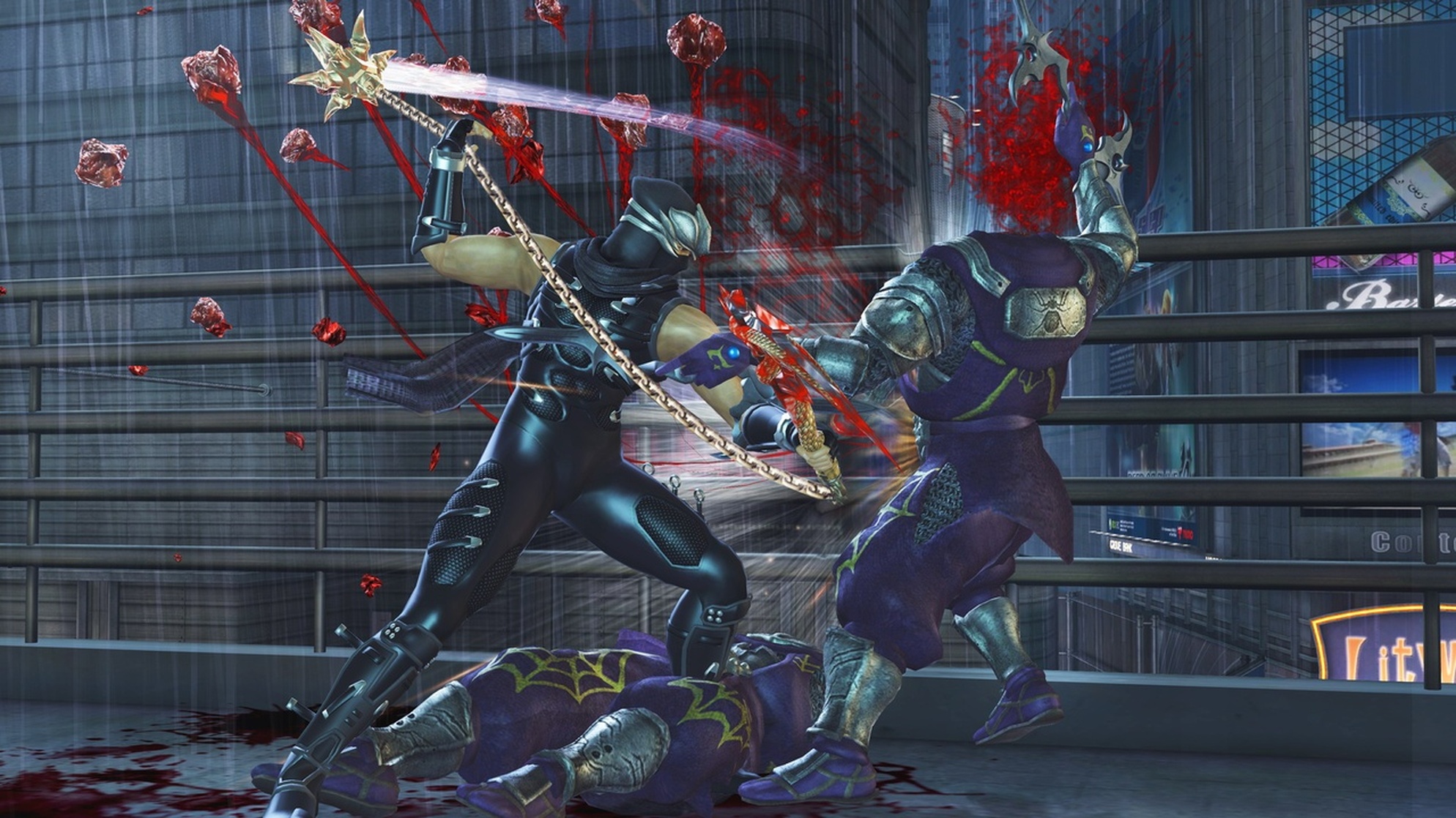 Ninja Gaiden II
