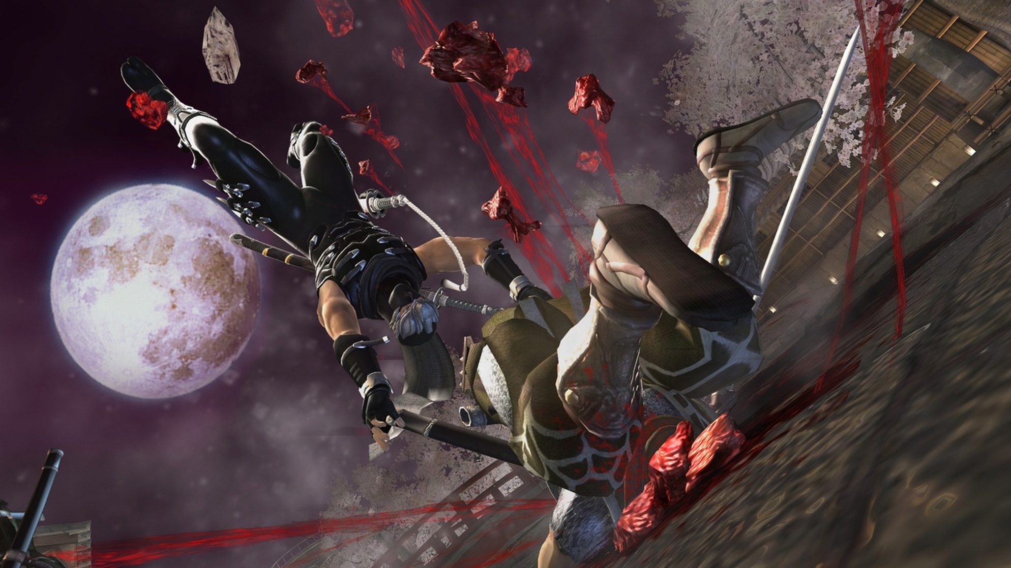 Ninja Gaiden II