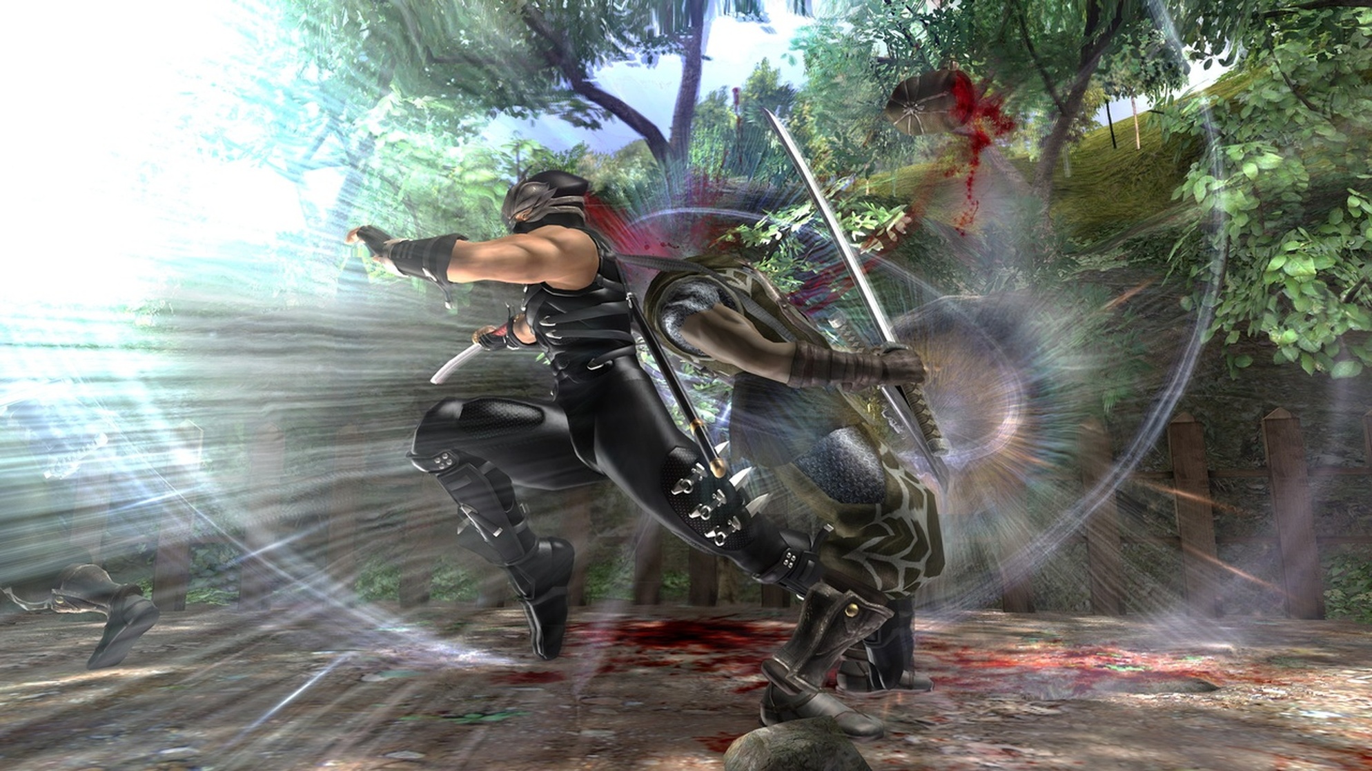 Ninja Gaiden II