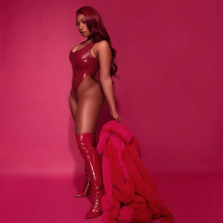 Picture Of Megan Thee Stallion