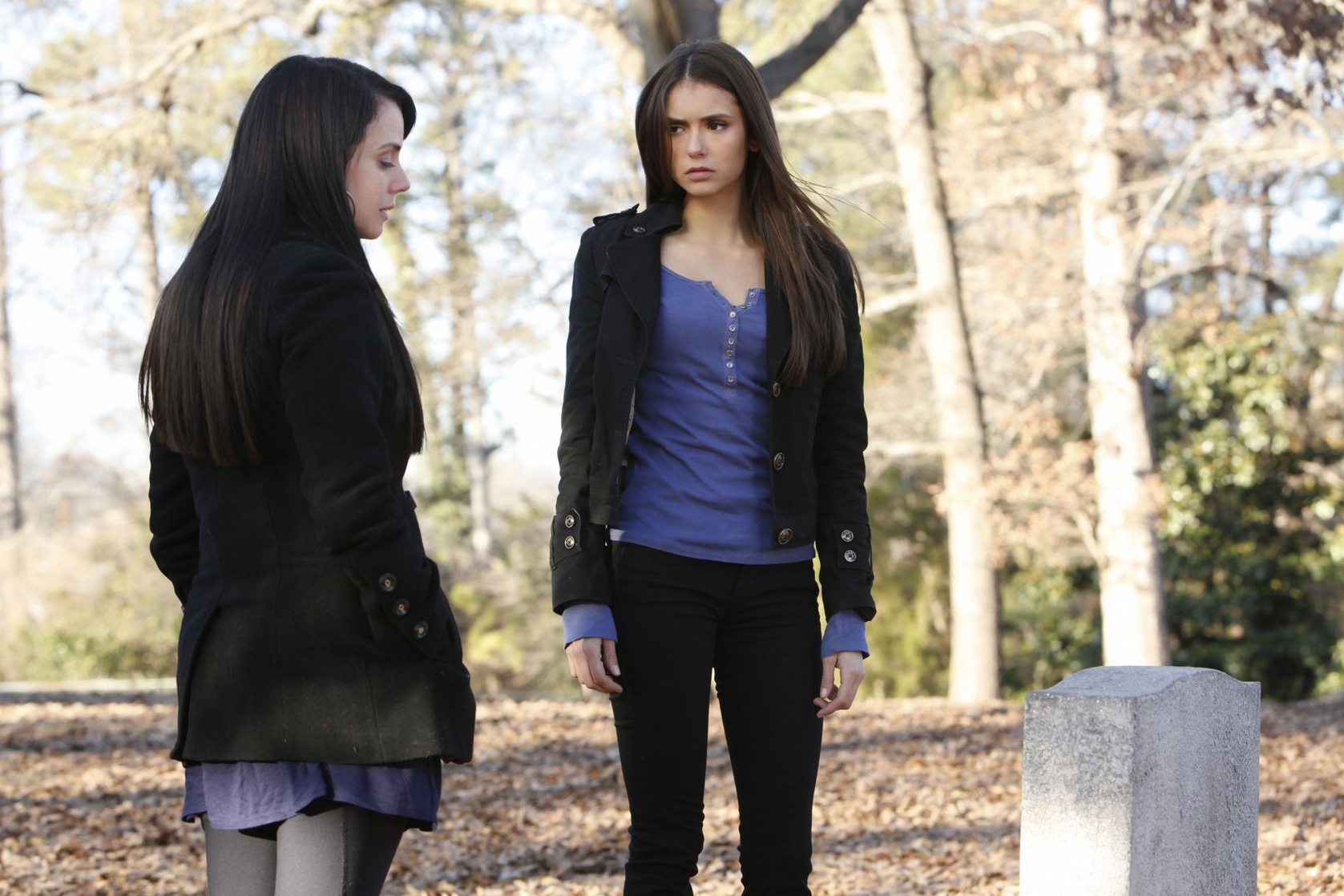 The Vampire Diaries