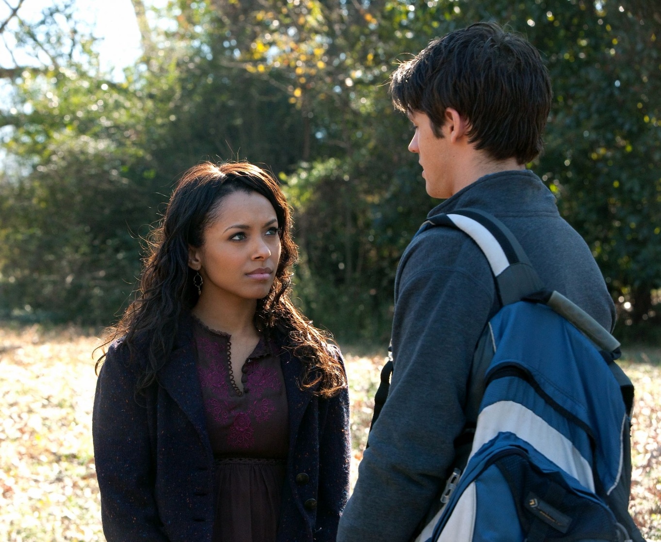 The Vampire Diaries