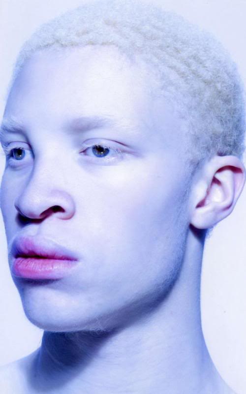 Shaun Ross image