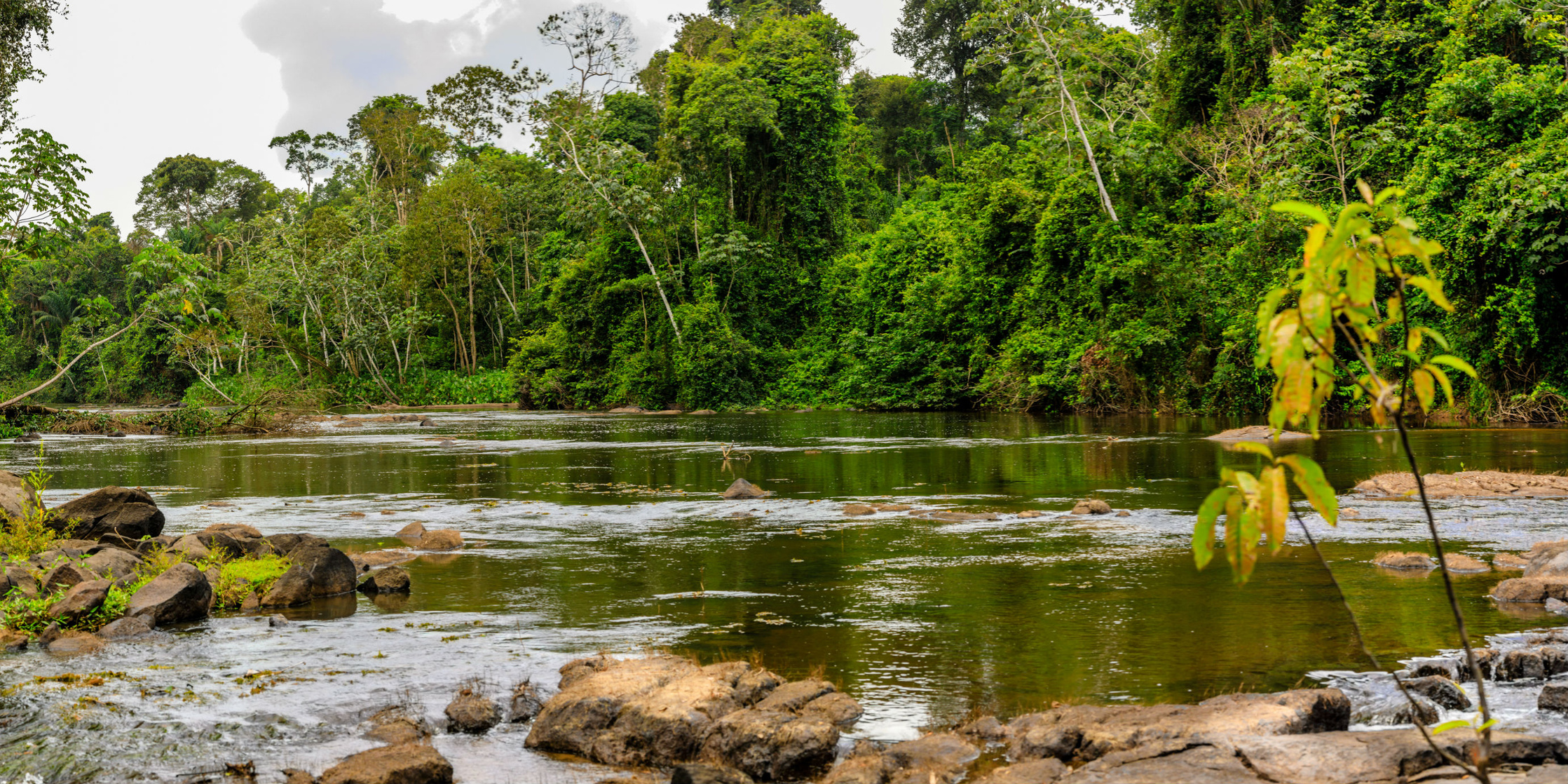 Suriname