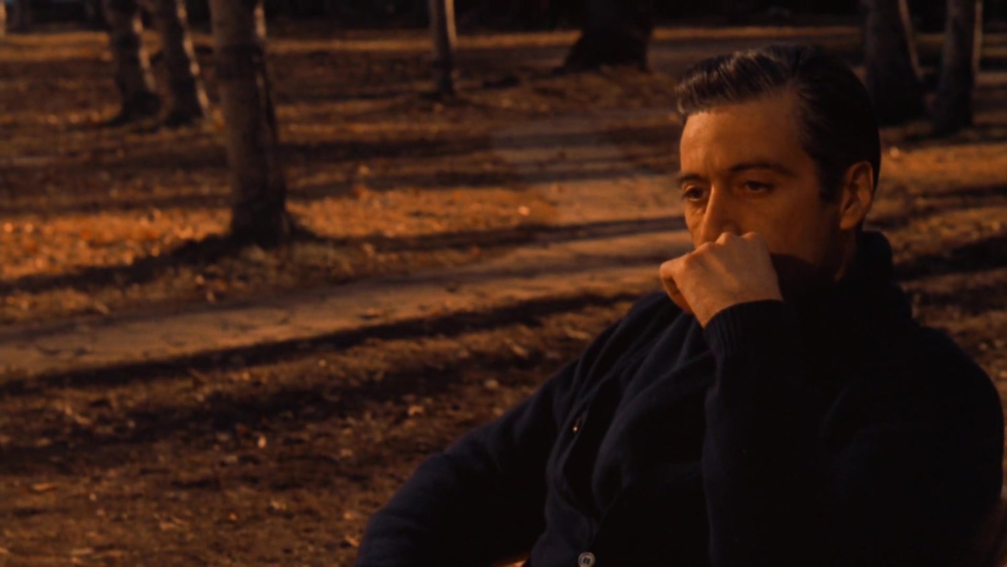 The Godfather: Part II picture