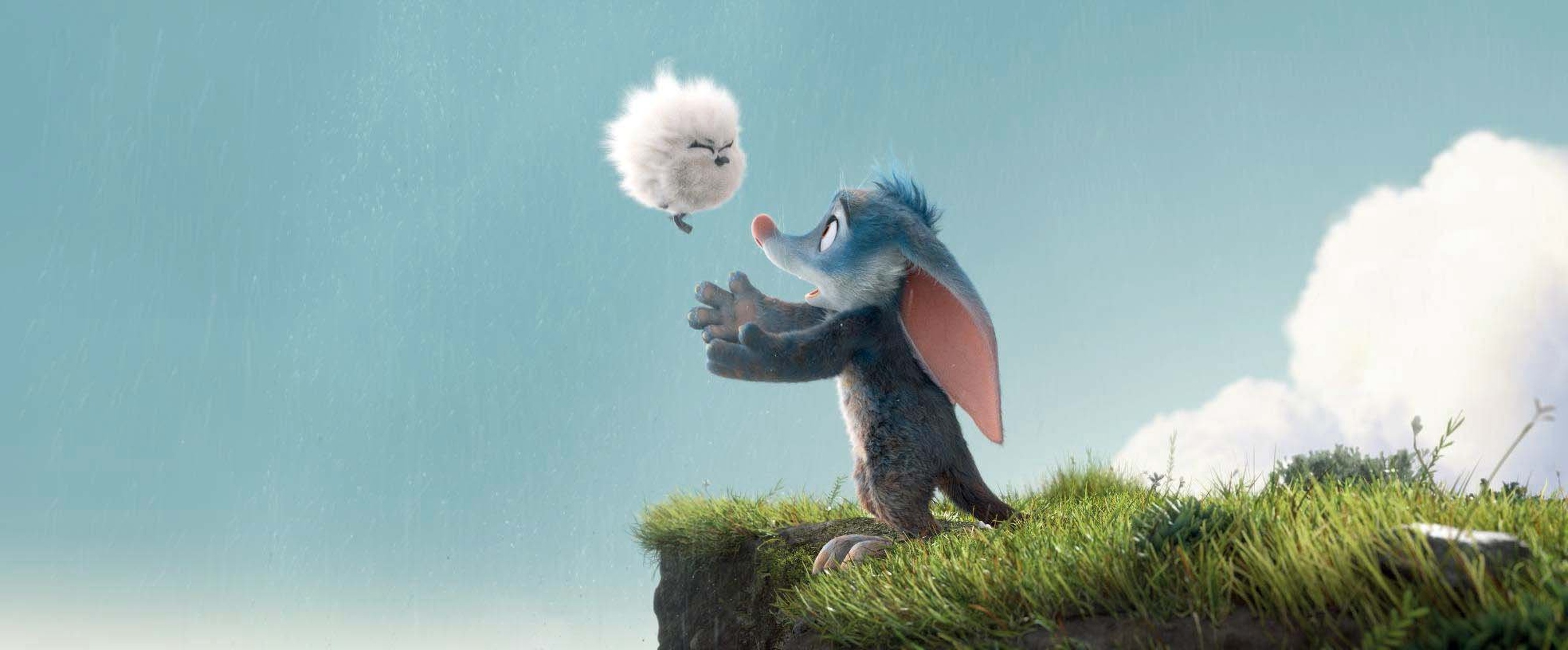 Bilby (2018)
