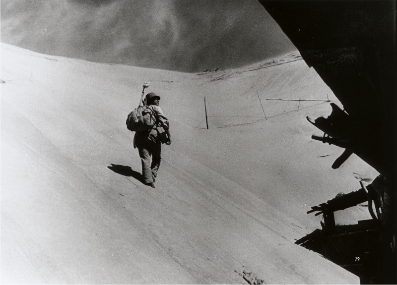 Woman in the Dunes