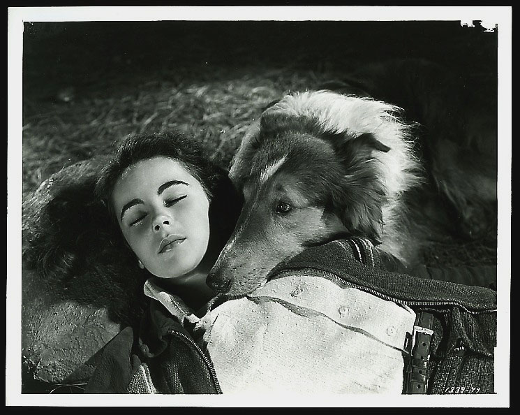 Elizabeth Taylor Elizabeth Taylor