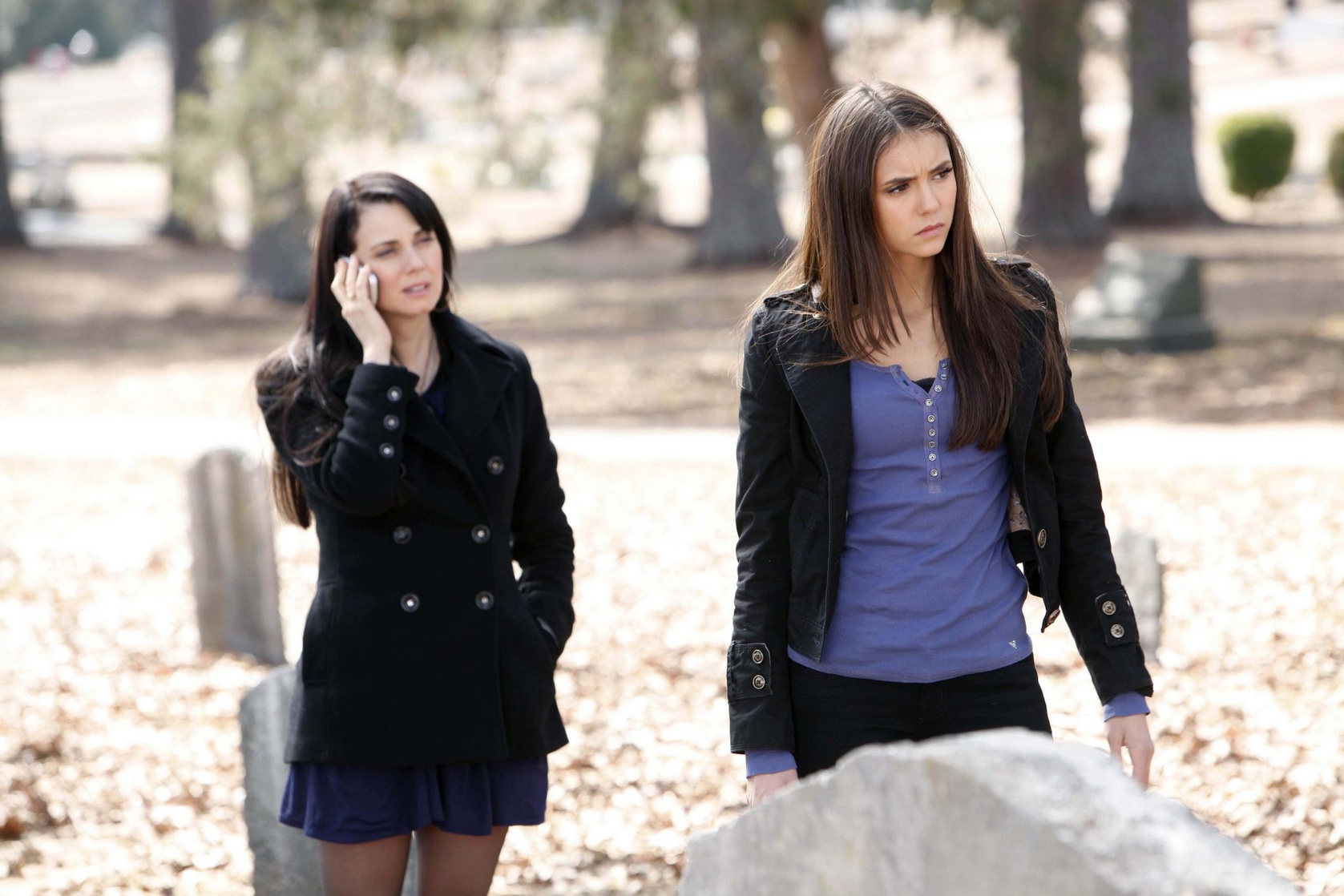 The Vampire Diaries