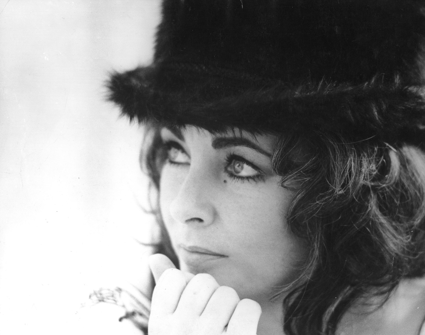 Elizabeth Taylor Elizabeth Taylor