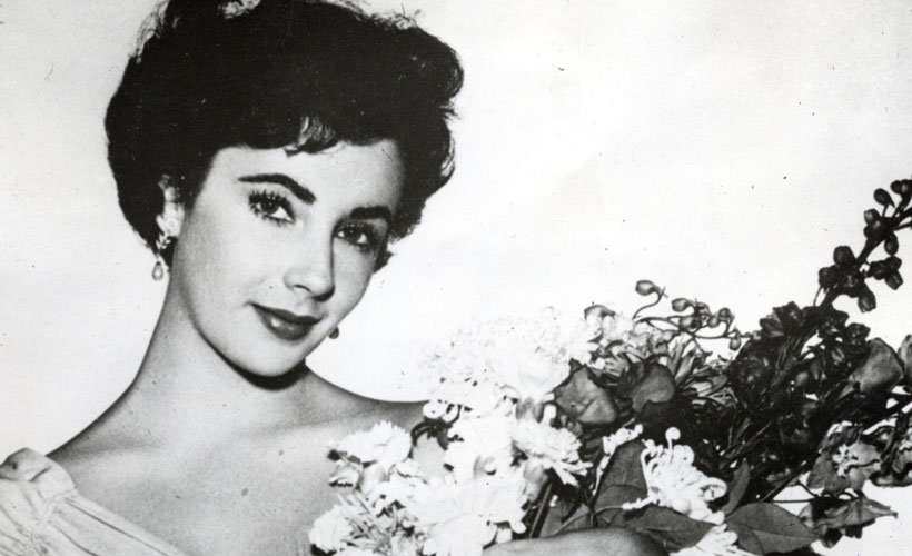 Elizabeth Taylor Elizabeth Taylor