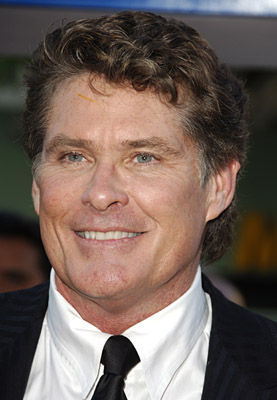 David Hasselhoff picture