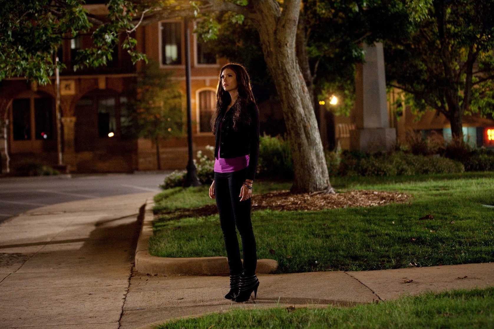 The Vampire Diaries