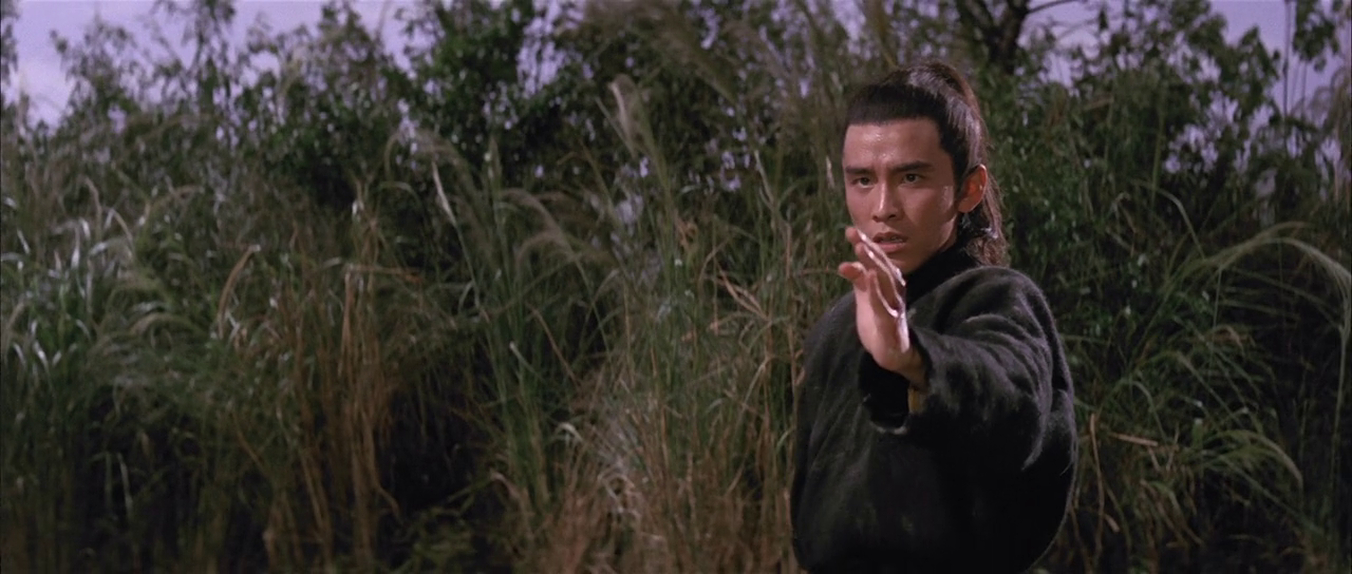 The New One-Armed Swordsman