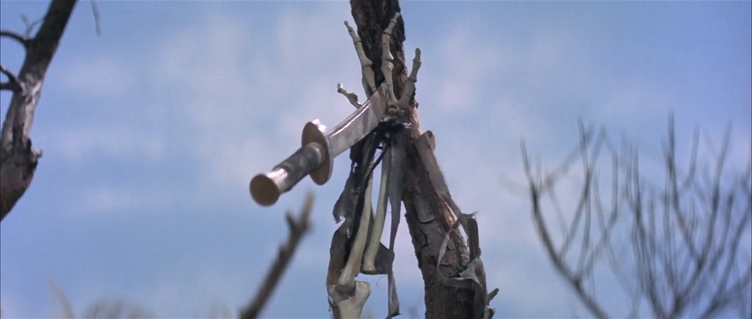 The New One-Armed Swordsman
