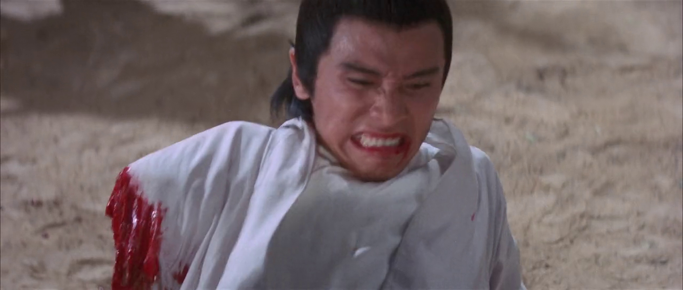 The New One-Armed Swordsman The New One-Armed Swordsman