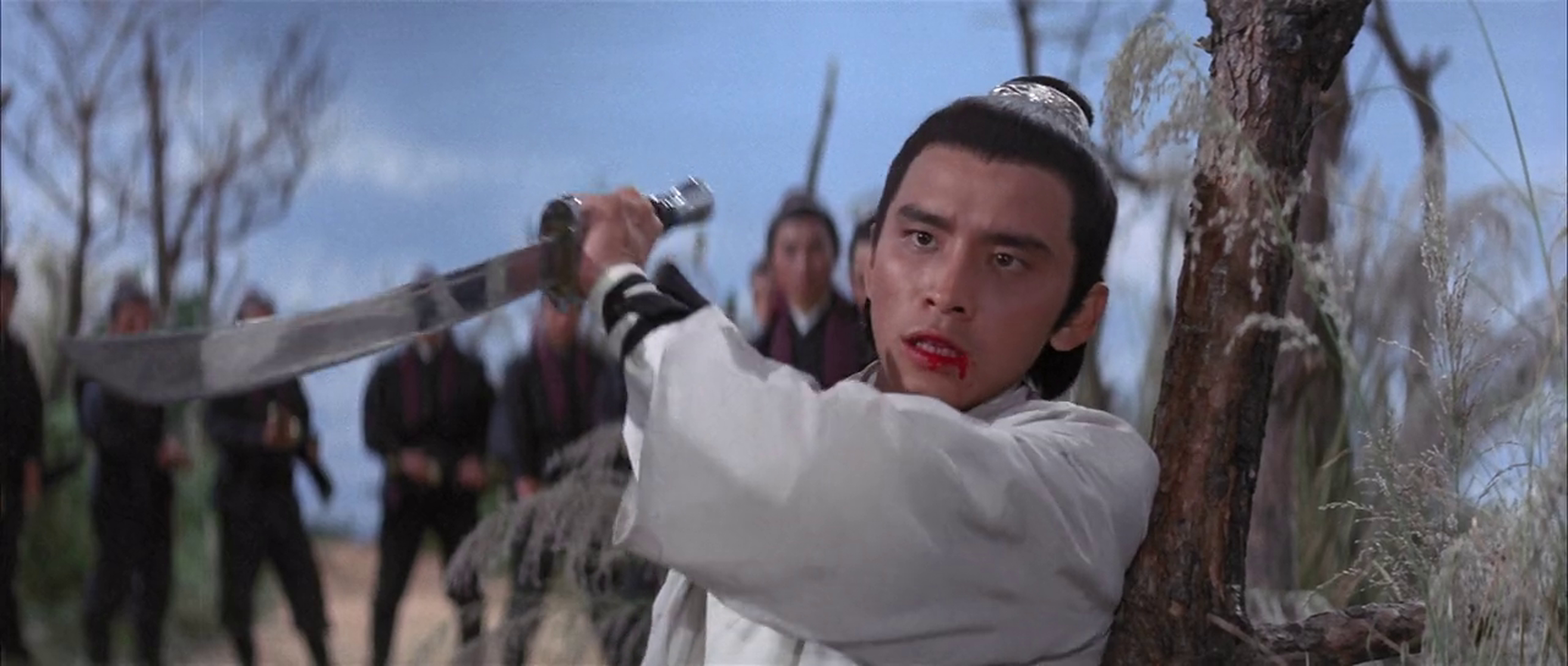 The New One-Armed Swordsman