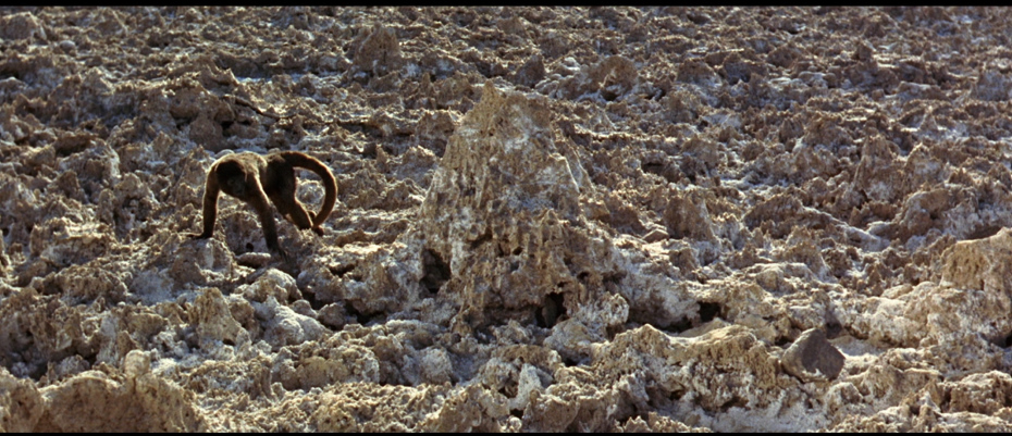 Robinson Crusoe on Mars