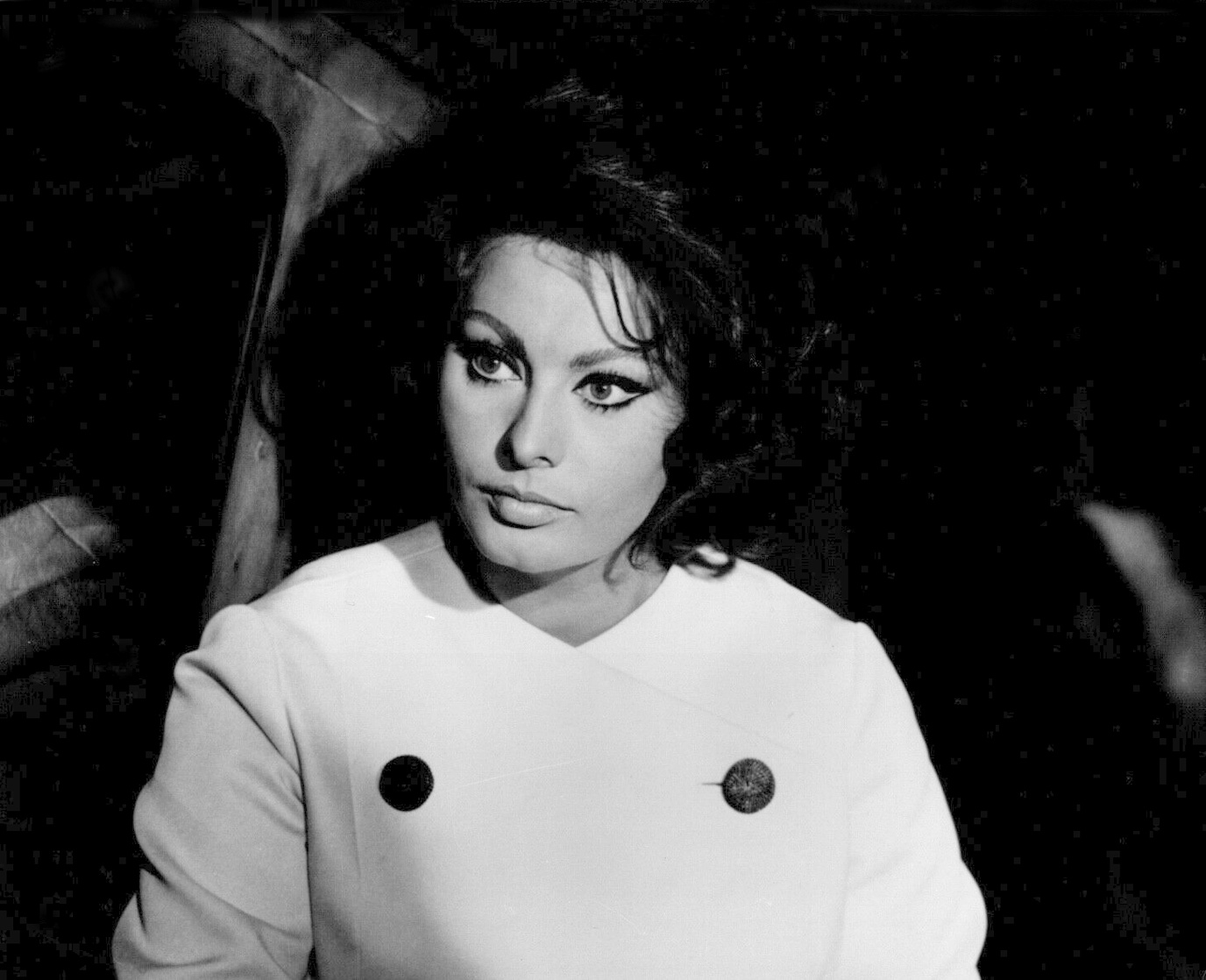 Sophia Loren Sophia Loren