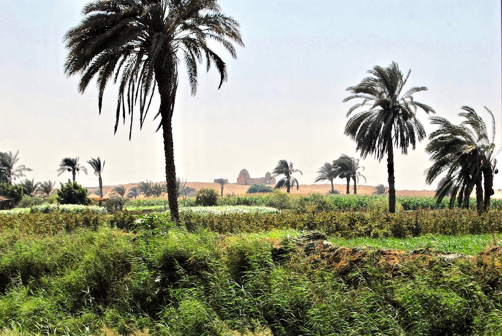 Egypt Egypt
