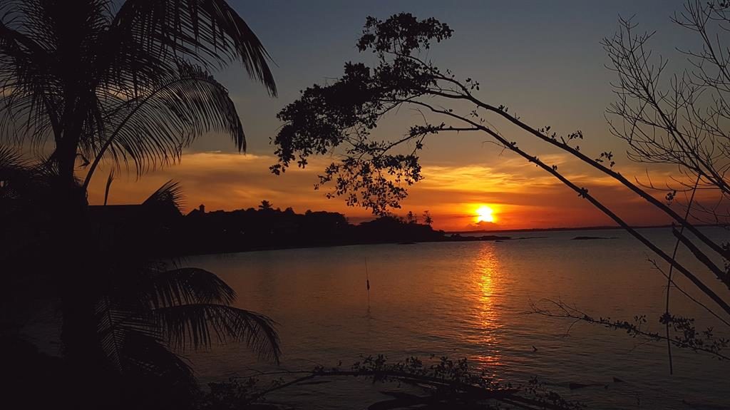 Picture of French Guiana