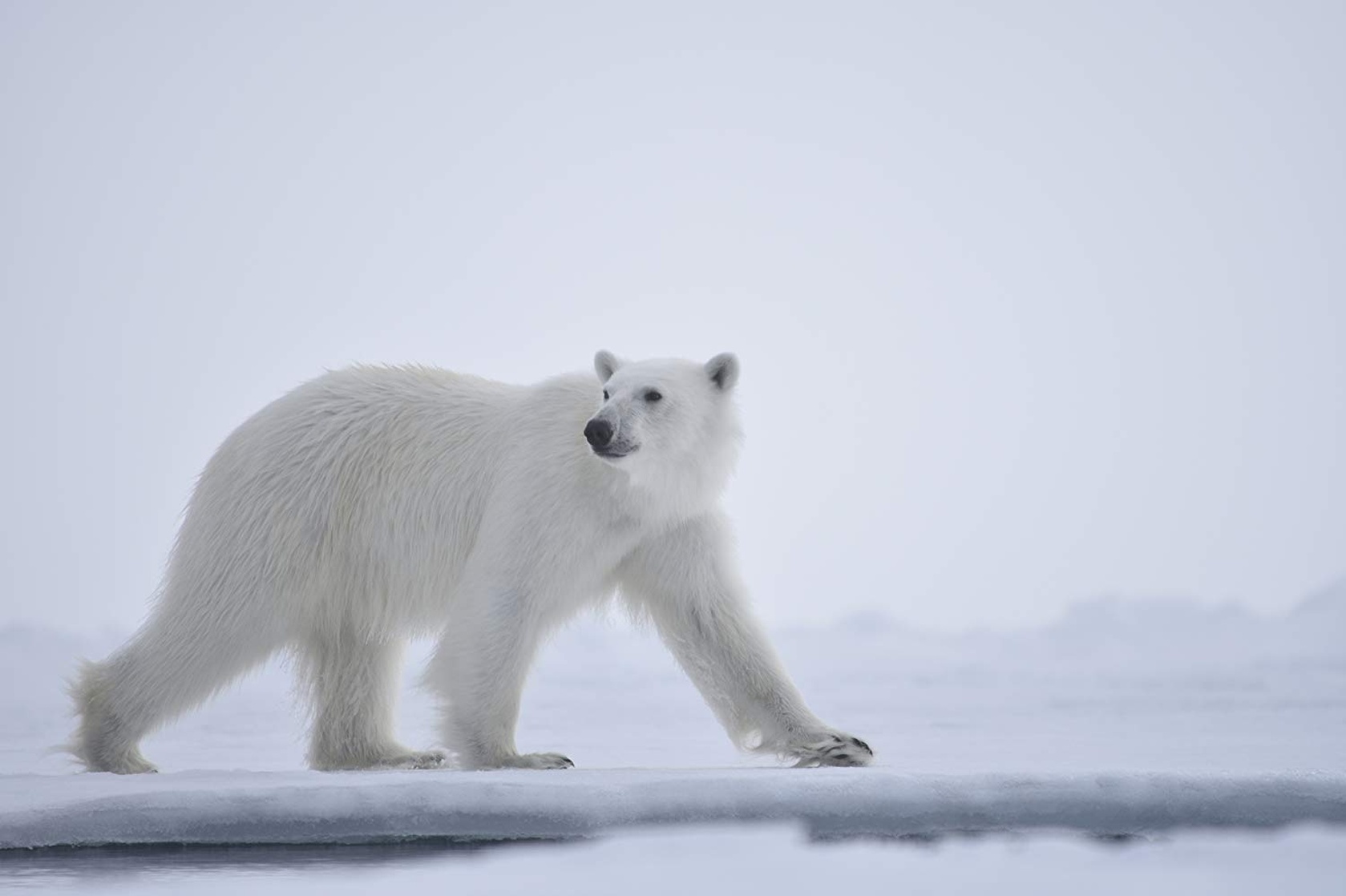 Our Planet Our Planet