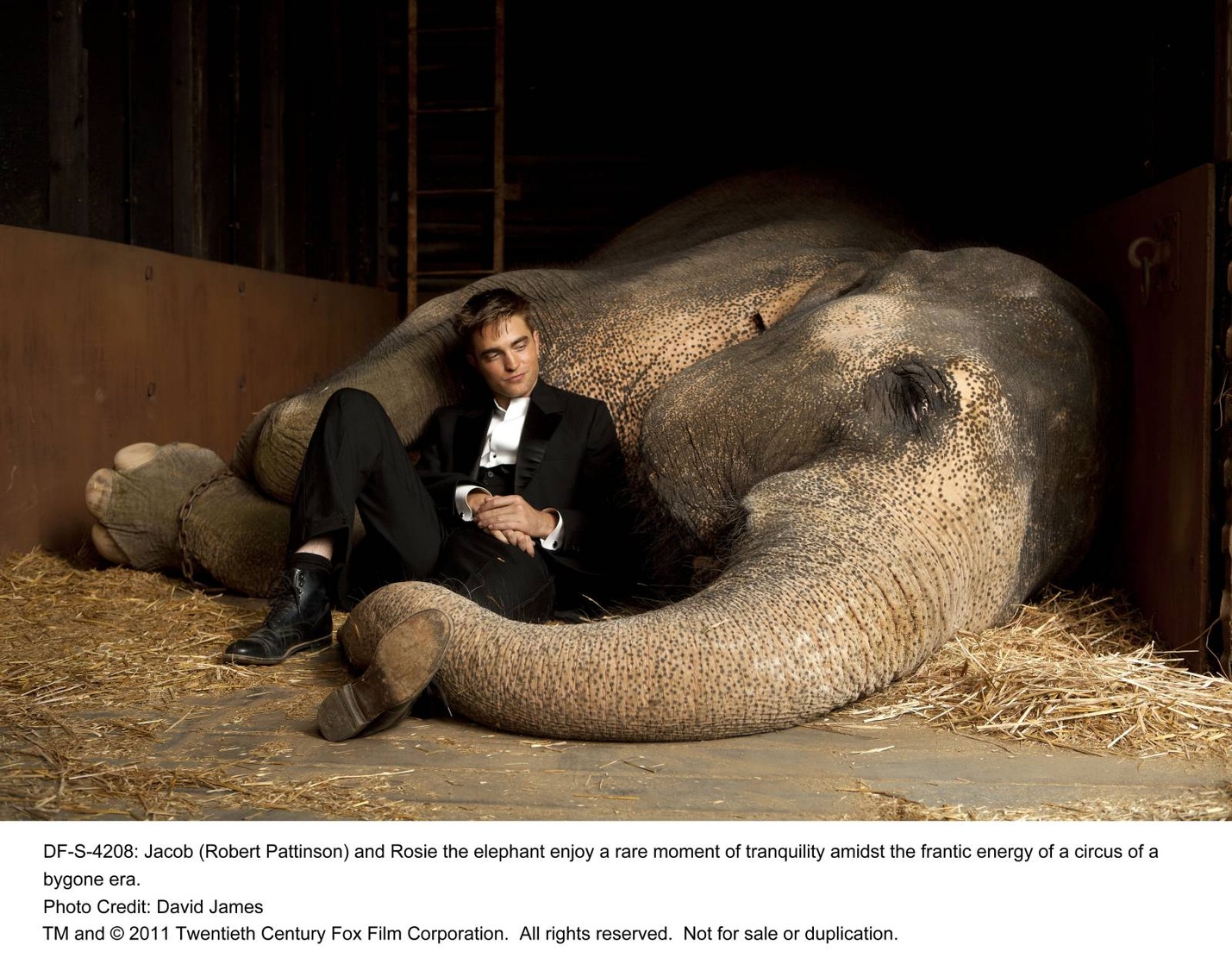 Water for Elephants