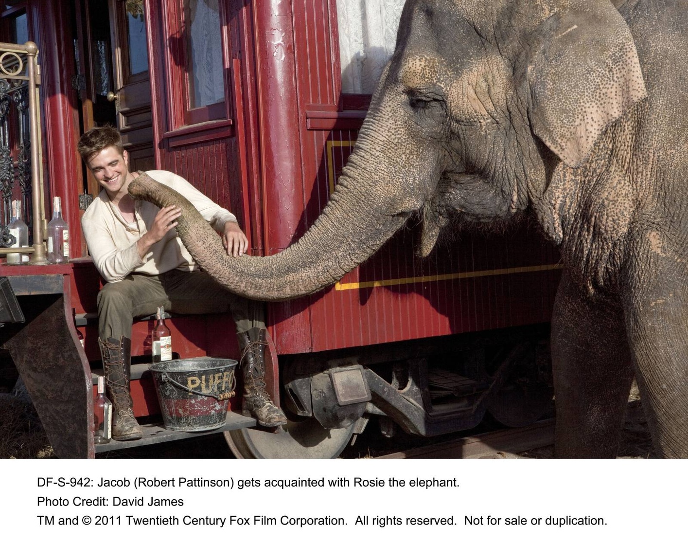 Water for Elephants