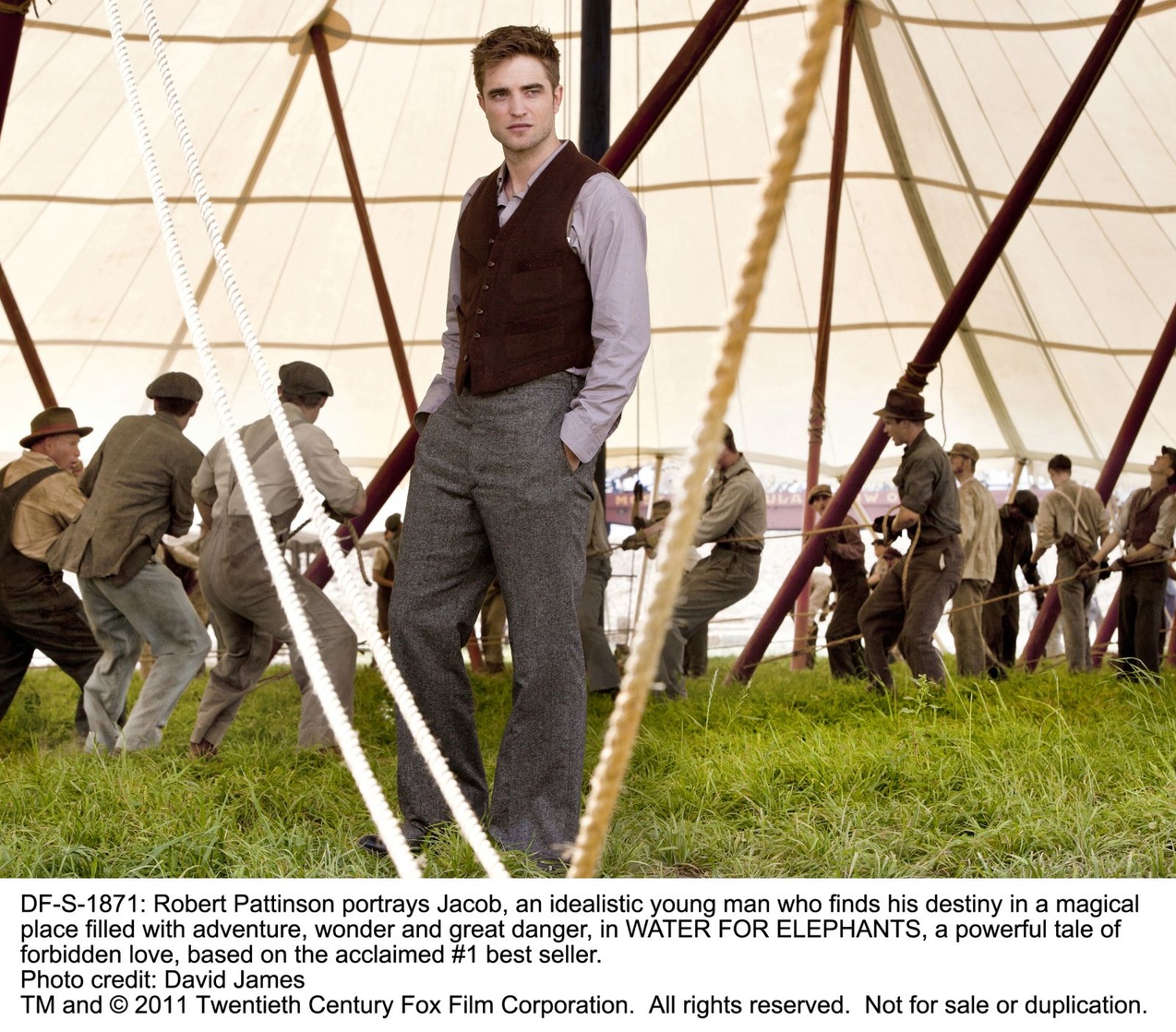 Water for Elephants