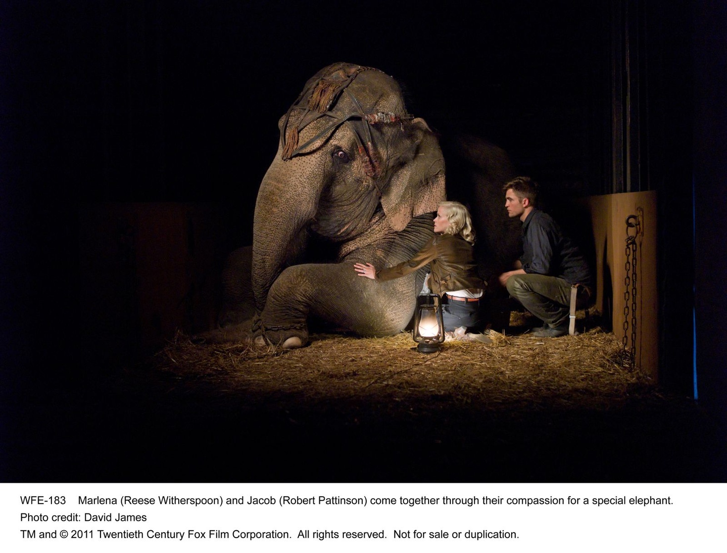 Water for Elephants