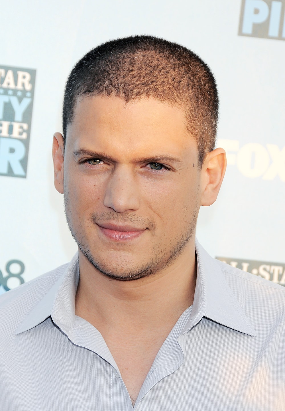 Picture of Wentworth Miller