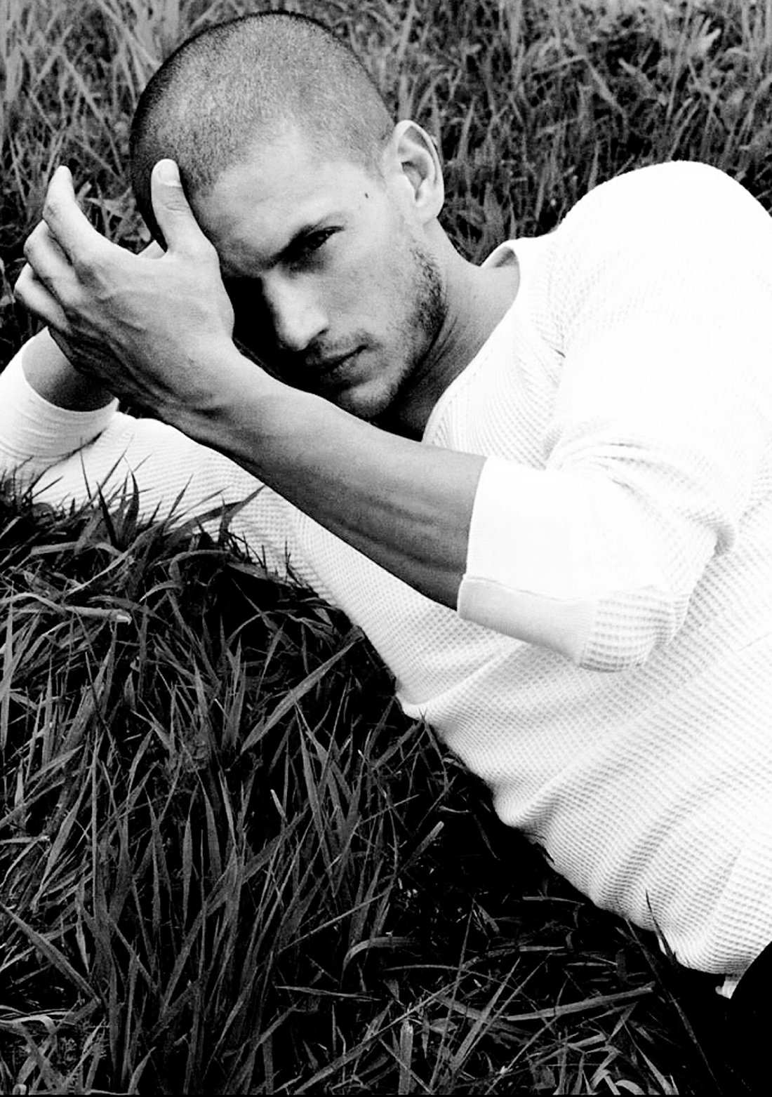 Picture of Wentworth Miller