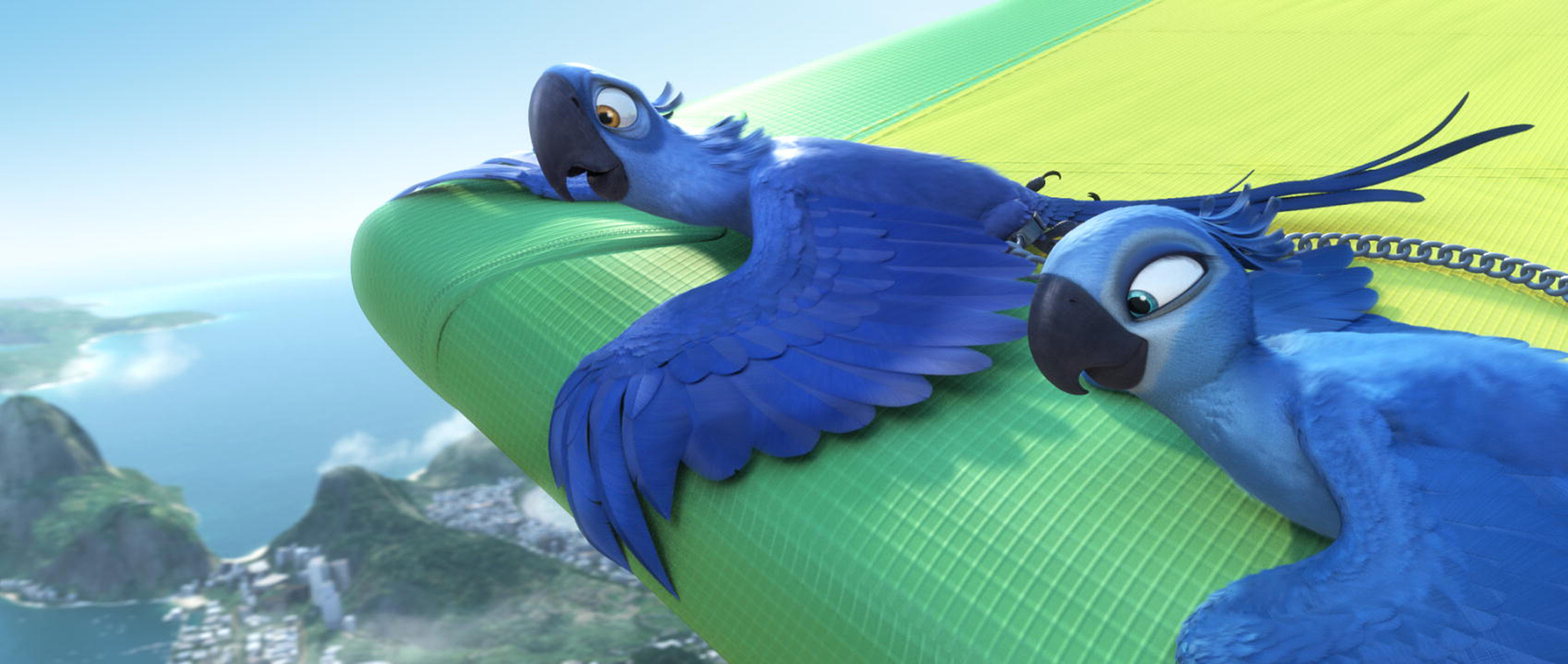 Rio Rio