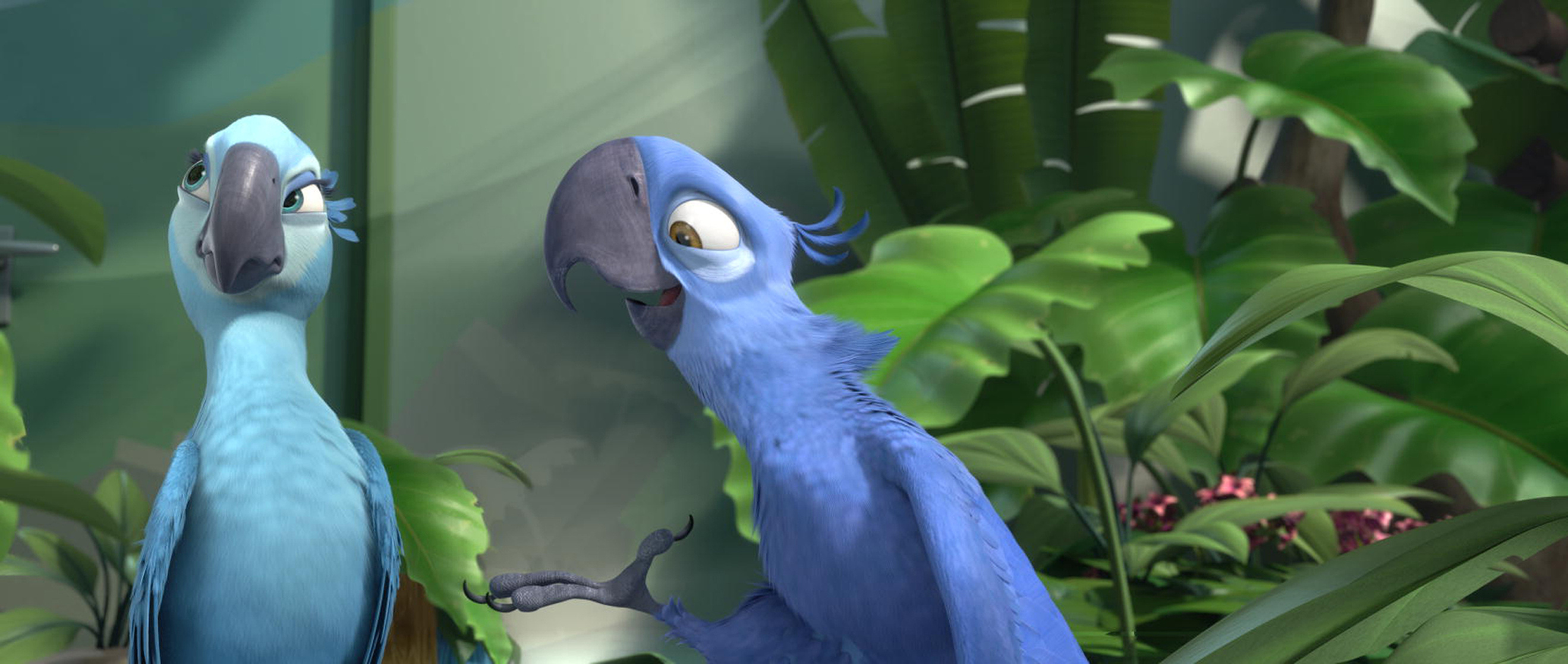 Rio Rio