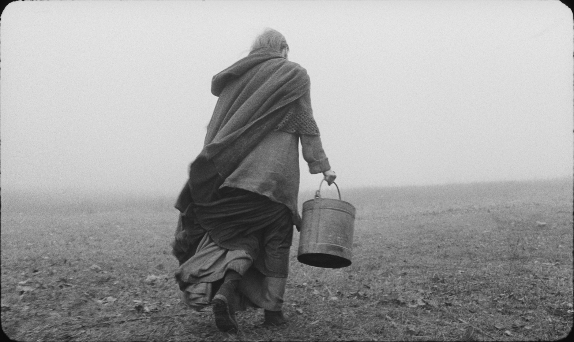 The Turin Horse (2011) The Turin Horse (2011)