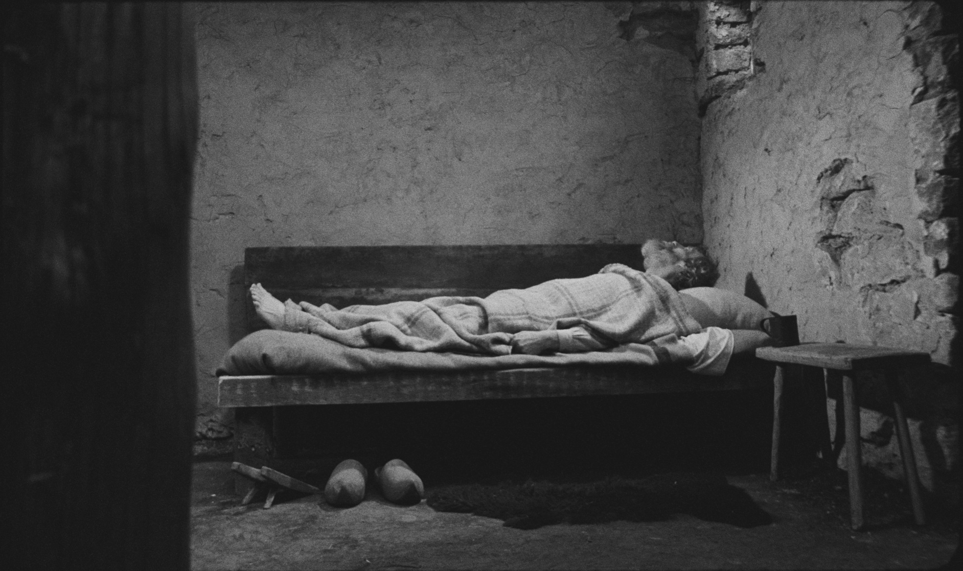 The Turin Horse (2011) The Turin Horse (2011)