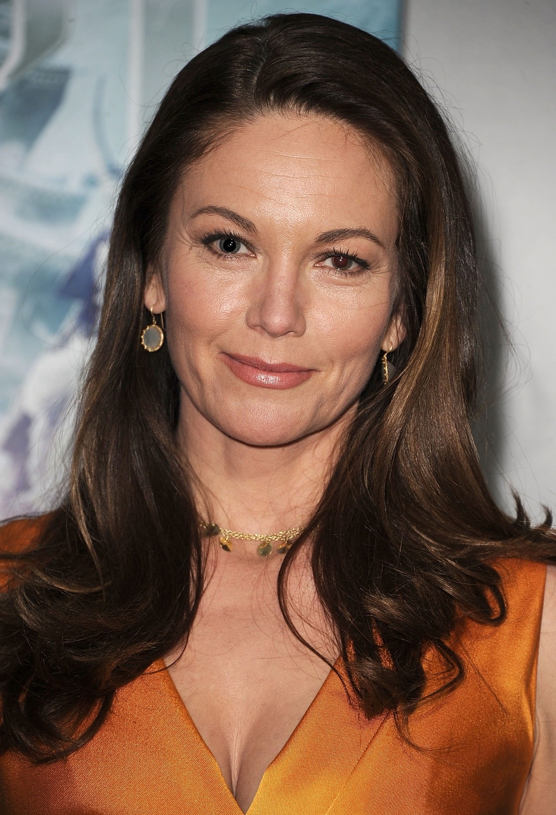 Diane Lane image