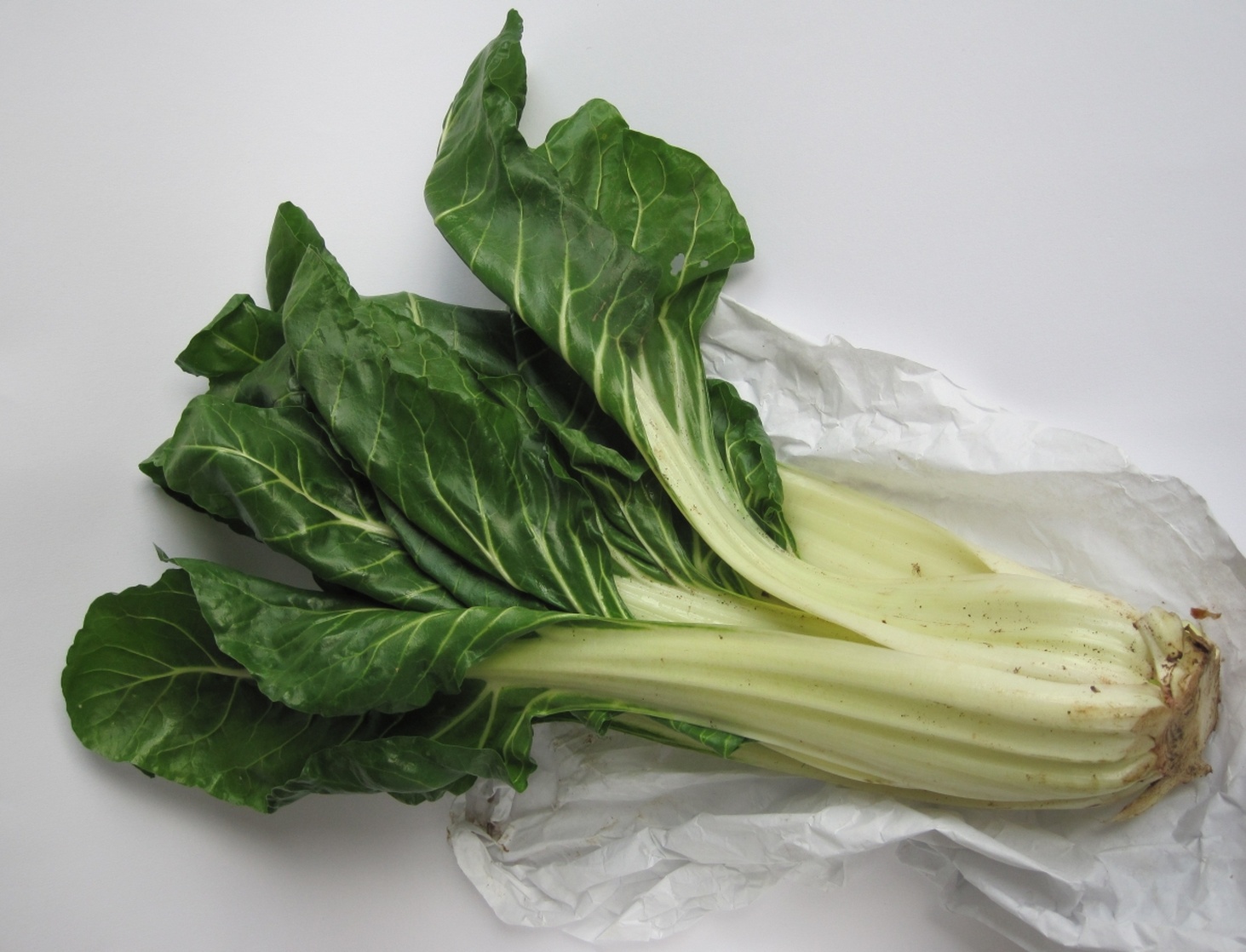 Chard
