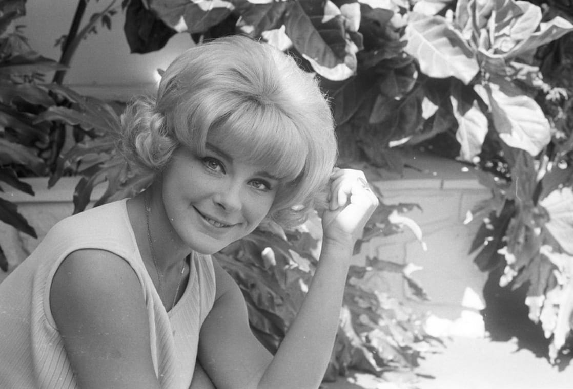 Elke Sommer