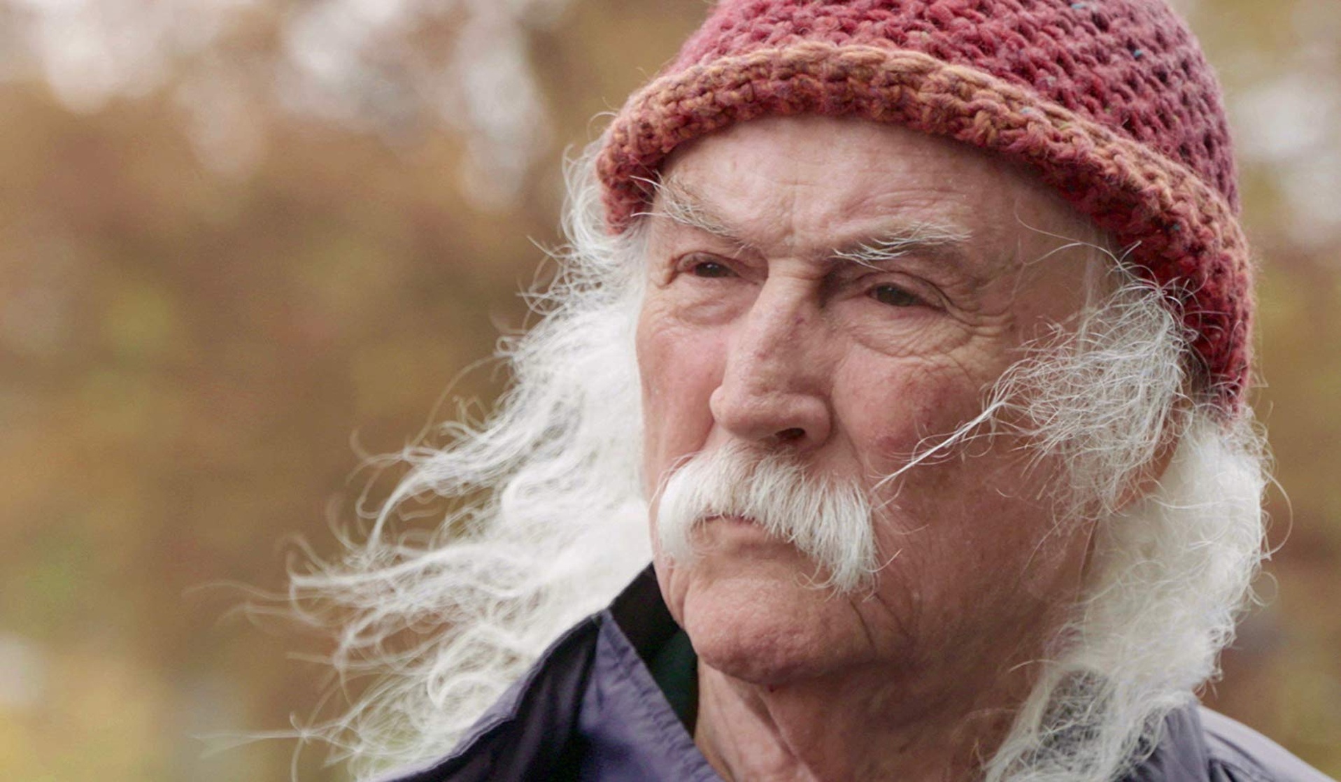 David Crosby: Remember My Name